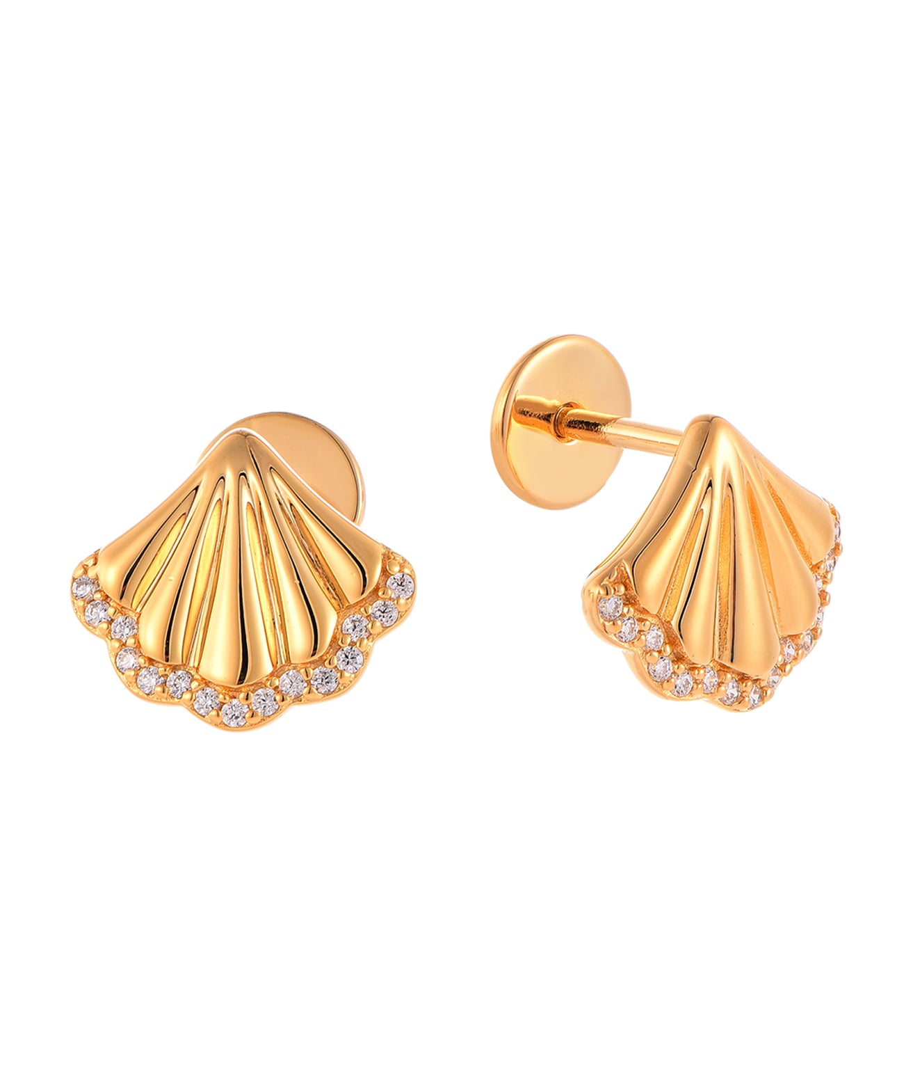 Seashell Earrings